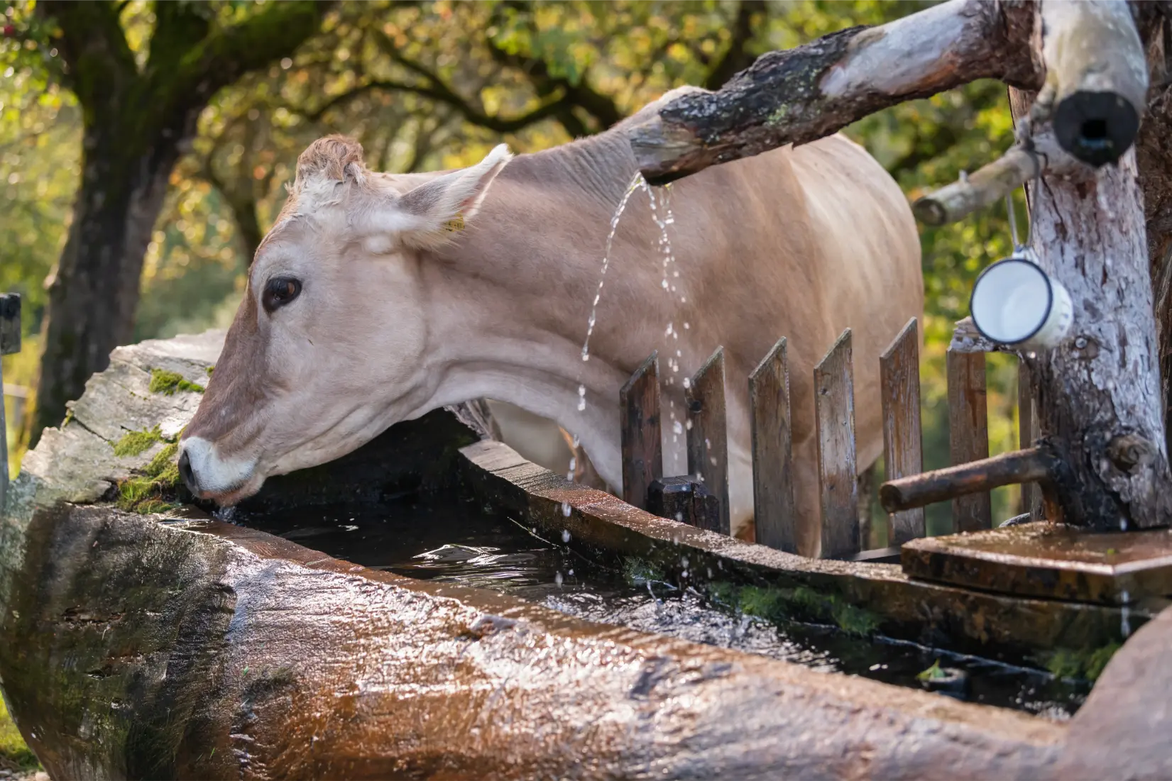 blog calidad del agua