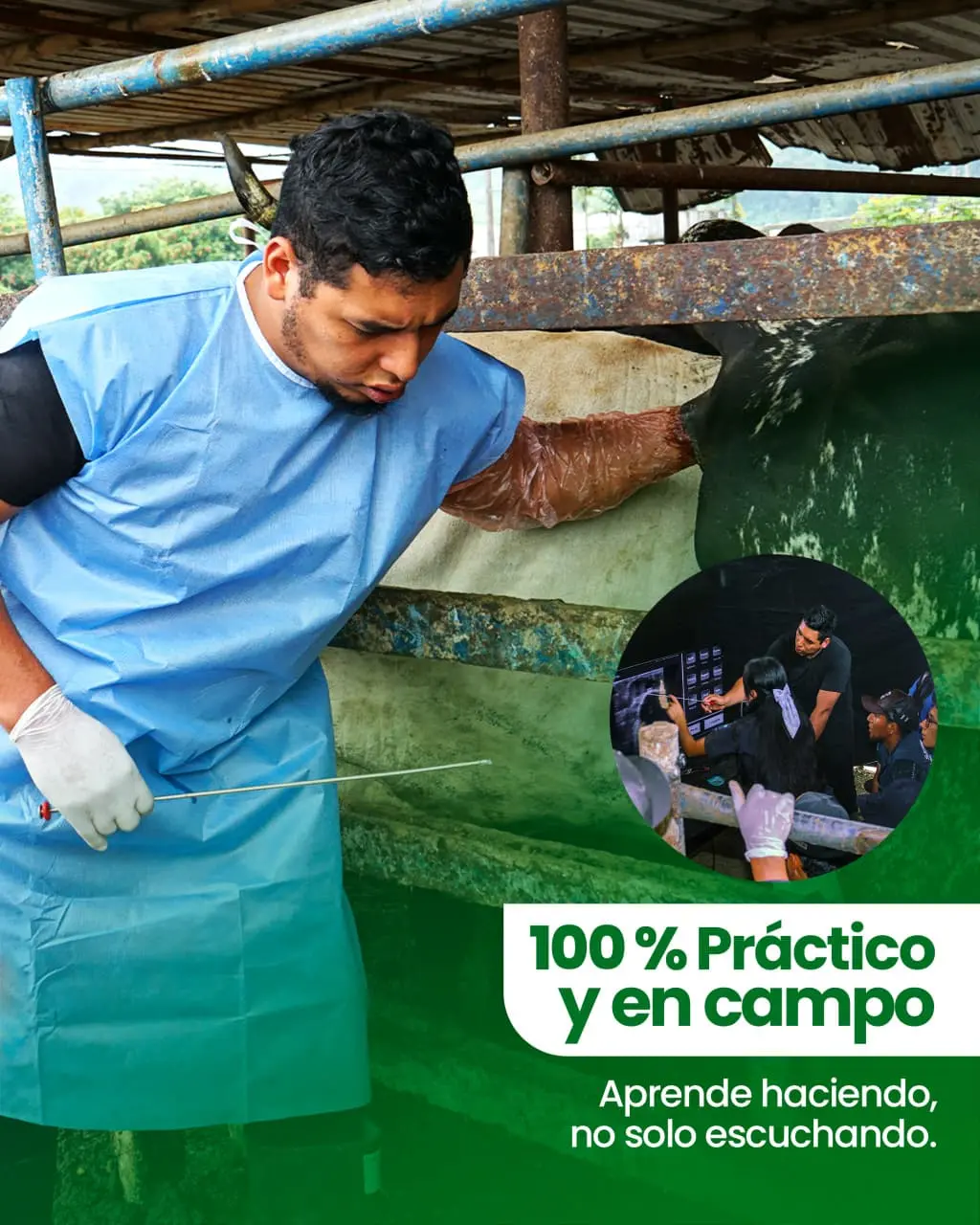 cursos practicos y en campo ecuador